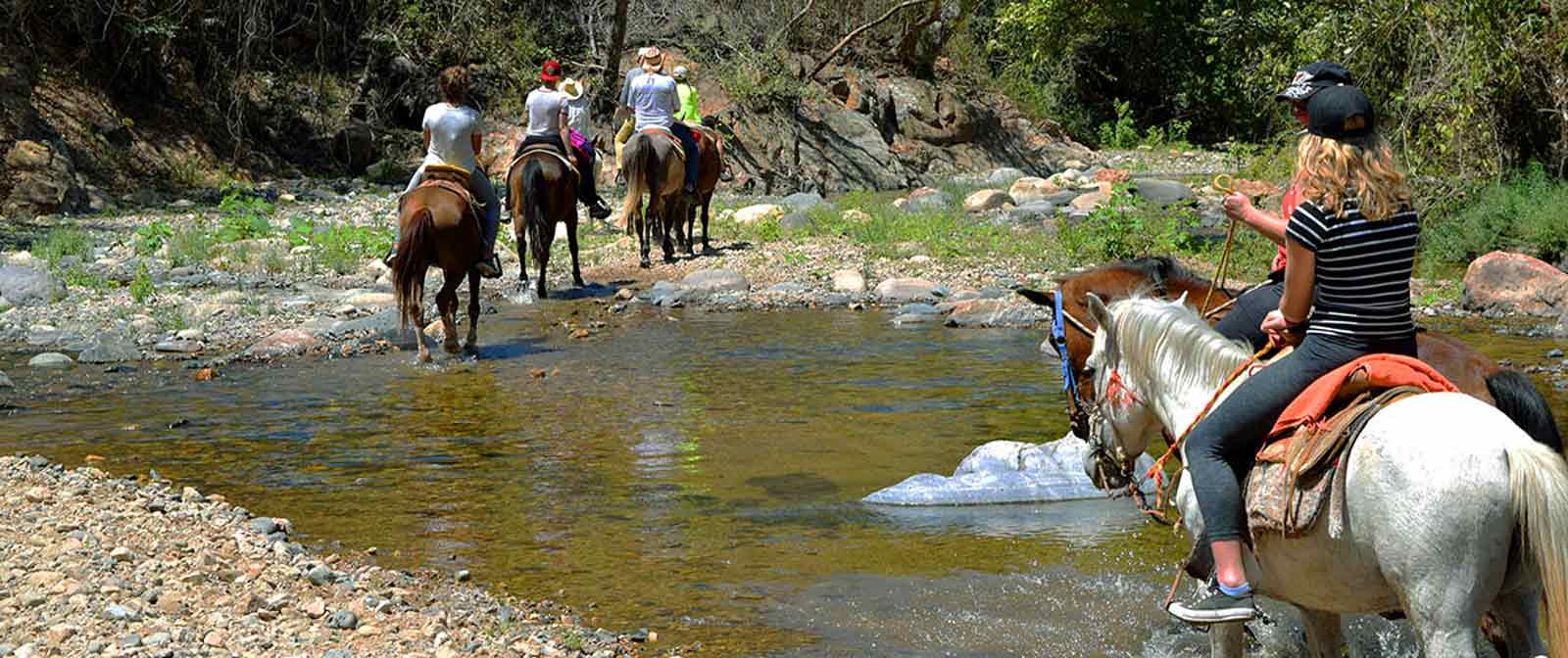 Cerro-verde-horse