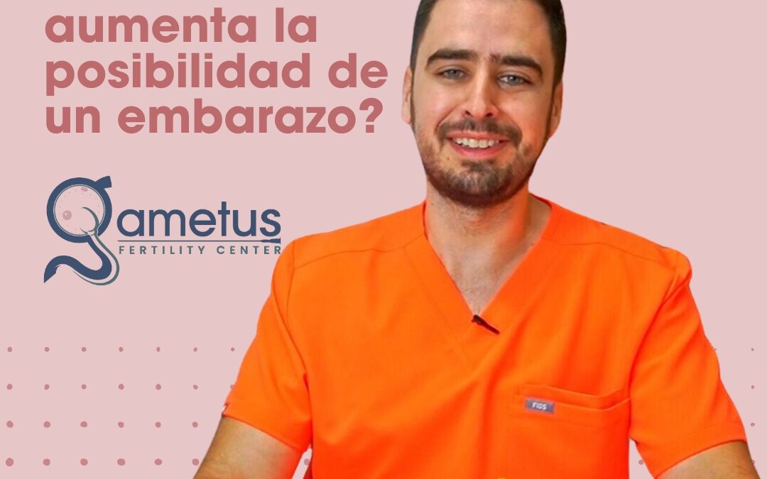 Papas de McDonald’s – Impulso Gráfico PV